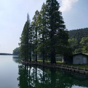三重夜色里的旅人