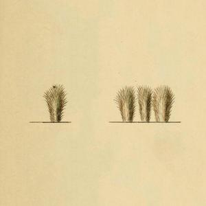 Si Envejece Un Río (reprise)