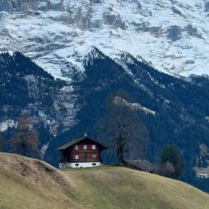 佛罗伦萨没下过这场雨