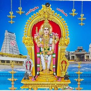 திருப்புகழ் 87 மனைகனக மைந்தர் (திருச்செந்தூர்)