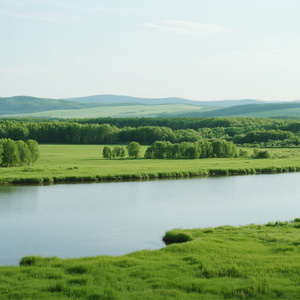 我爱迷彩装我爱苇河绿