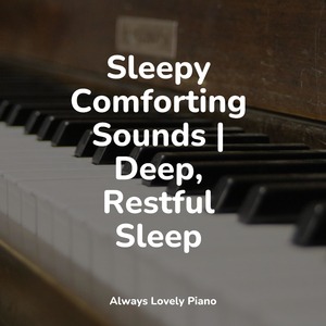 Forest in the Spring