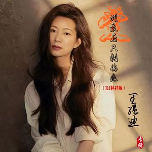 爱到最后只剩伤疤 (DJ版)