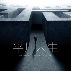 平凡人生