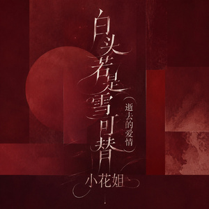 白头若是雪可替（逝去的爱情）