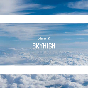 Elektronomia-Sky high（Schama- Z remix）