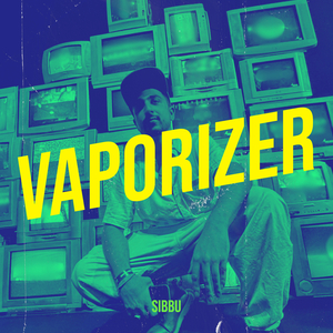 Vaporizer