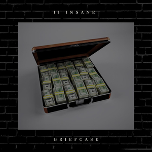 Briefcase