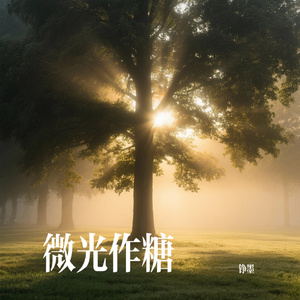 微光作糖