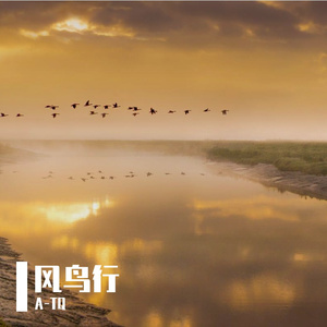 风鸟迎