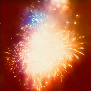 불타올라 불사르라