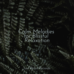 Sorrowful Symphony of Keys