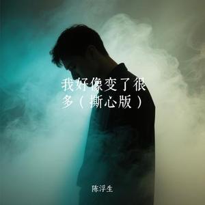 我好像变了很多 (陈浮生 Remix)