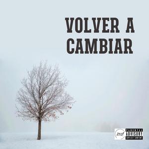 Volver a cambiar