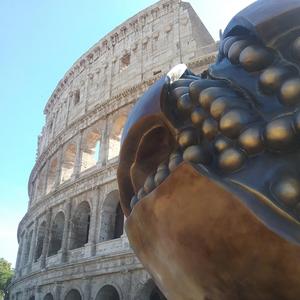Nell'Arena