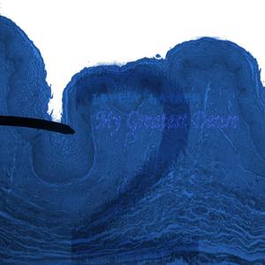 What a Beautiful World