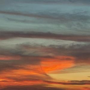 波莎诺娃的童年