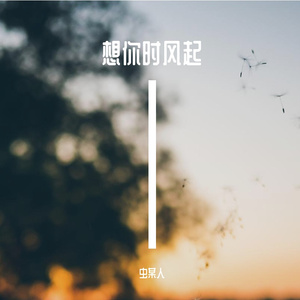 想你时风起（努力版）