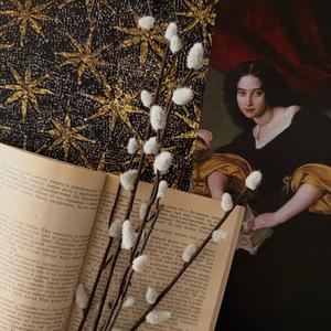 für elise (but it's a waltz)