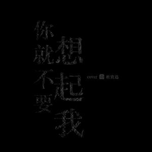 你就不要想起我