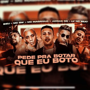 Pede pra Botar Que Eu Boto