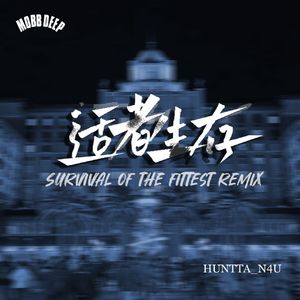 适者生存(Survival Of The Fittest Remix)