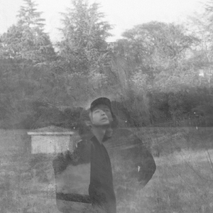 Evolution Is the Reason