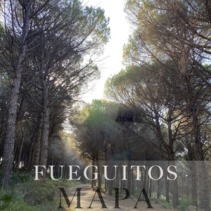 Fueguitos (Acoustic Version)