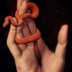 落叶（Prod.pvki）