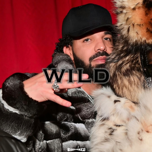 Free Drake x SZA Type Beat “Wild”