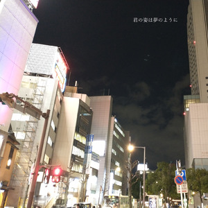 君の姿は夢のように