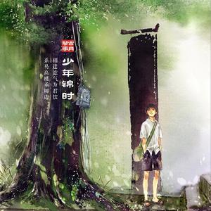 少年锦时（二胡版）