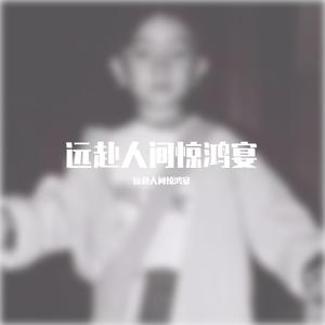 远赴人间惊鸿宴