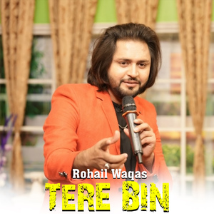 TERE BIN