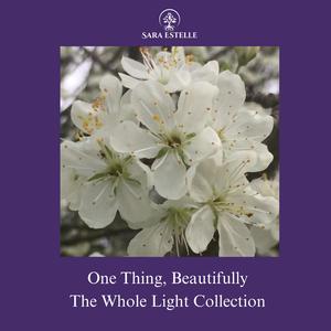 One Thing, Beautifully