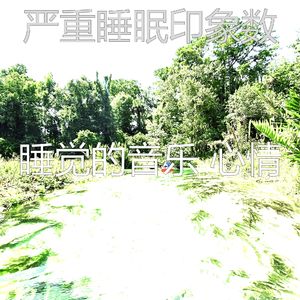 抚慰的沉睡回忆
