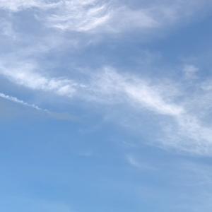 Ariana Grande-最后的告别（风来飞鸟 remix）