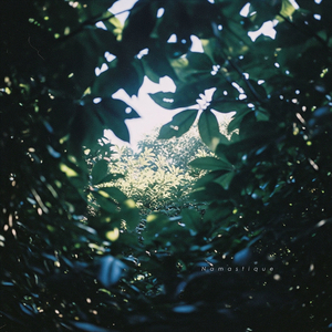 Cracked Light