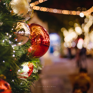 한 겨울밤의 꿈처럼