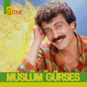 Silinmiyor Hatıralar (Lp Mastered)