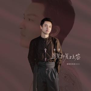 遇见已是上上签(谢谢你的爱2025)