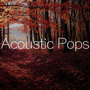 アコギとオルガン 初夏の輝き