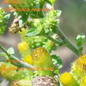 Il Natale visto da me