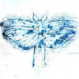 locust