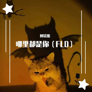哪里都是你（FLD）