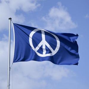 Please don't cry Palestine