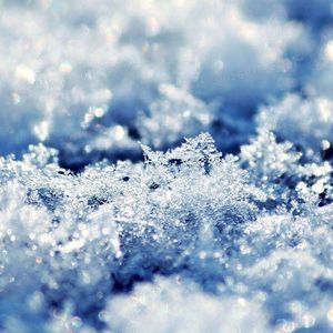 我在遂宁的冬天没有见过大雪（prod.Mov&riki）