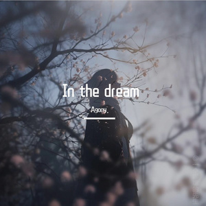In the dream