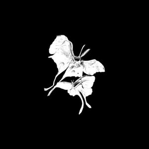 Yuhh (feat. Luvrello)