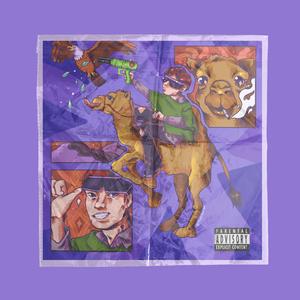 辛辛那提没有谎言